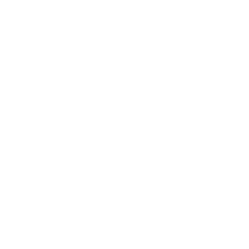 Ready Set Show logo