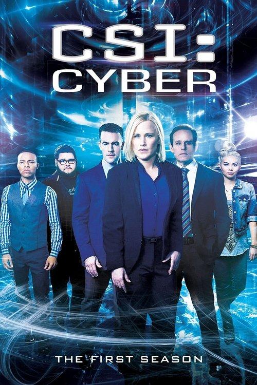 CSI: Cyber Sezon 1