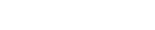 Q-Force logo