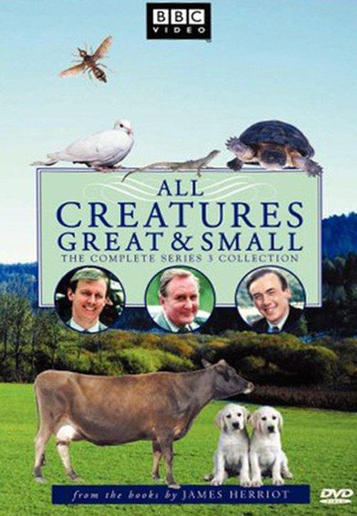 All Creatures Great and Small Sezon 3