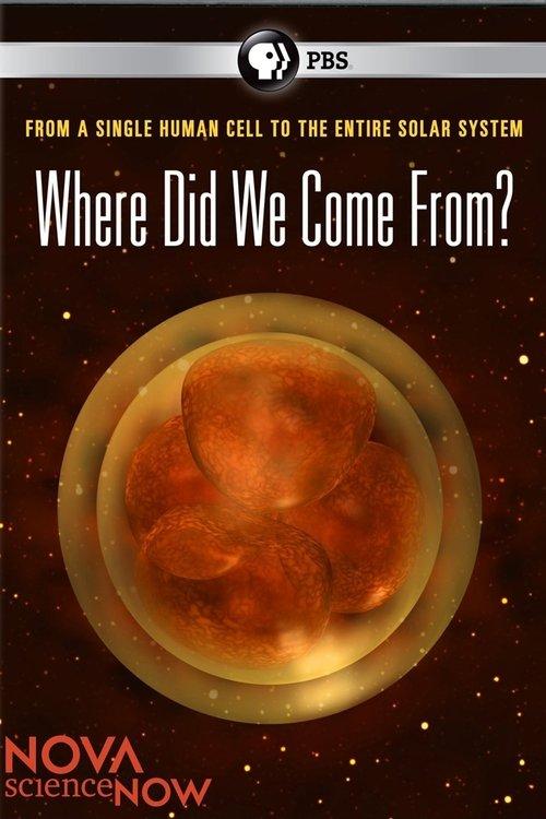Where Did We Come From? film afişi