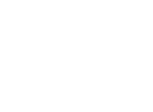 Deck the Walls logo