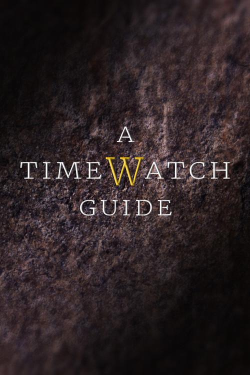 A Timewatch Guide dizi afişi