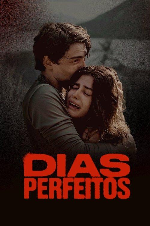Perfect Days dizi afişi