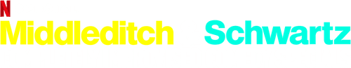 Middleditch & Schwartz logo