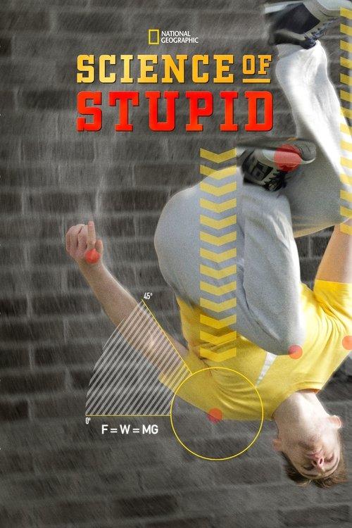 Science of Stupid dizi afişi