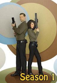 The Middleman Sezon 1