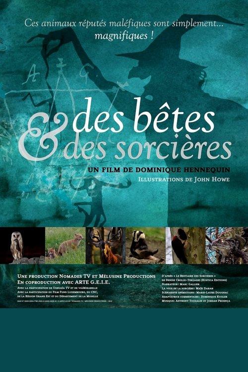 Des bêtes et des sorcières dizi afişi