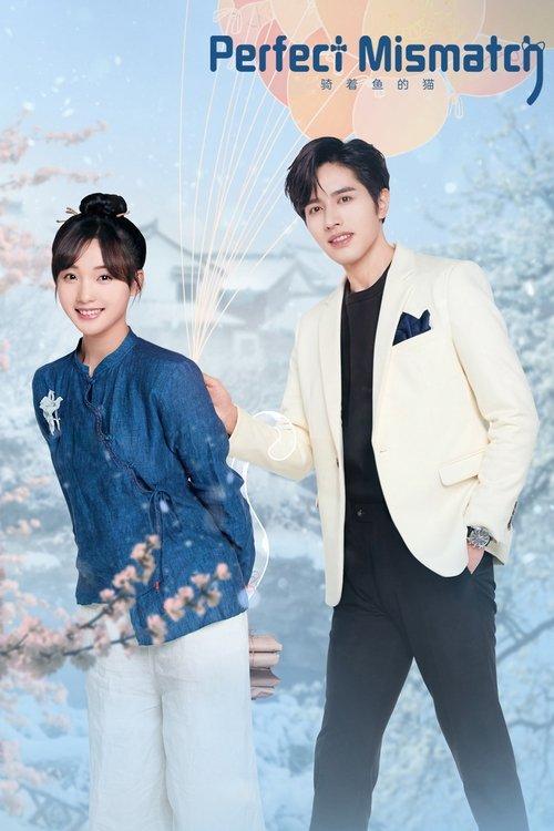 Perfect Mismatch dizi afişi