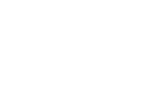 Secret Things logo