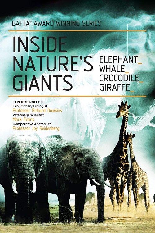 Inside Nature's Giants dizi afişi