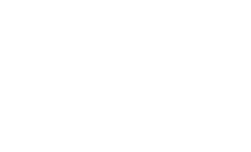 Rick and Morty: The Anime logo