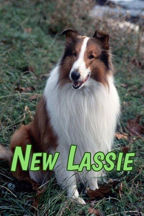 The New Lassie dizi afişi