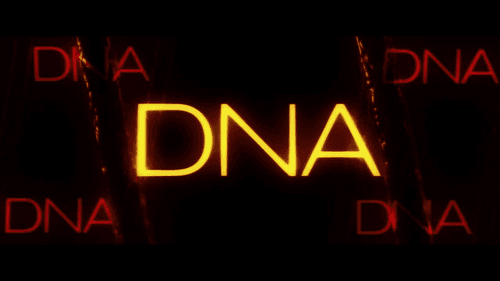 DNA Films logo