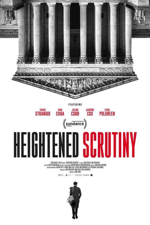Heightened Scrutiny film afişi
