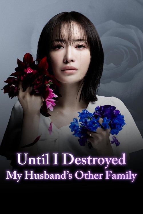 Until I Destroyed My Husband's Other Family dizi afişi