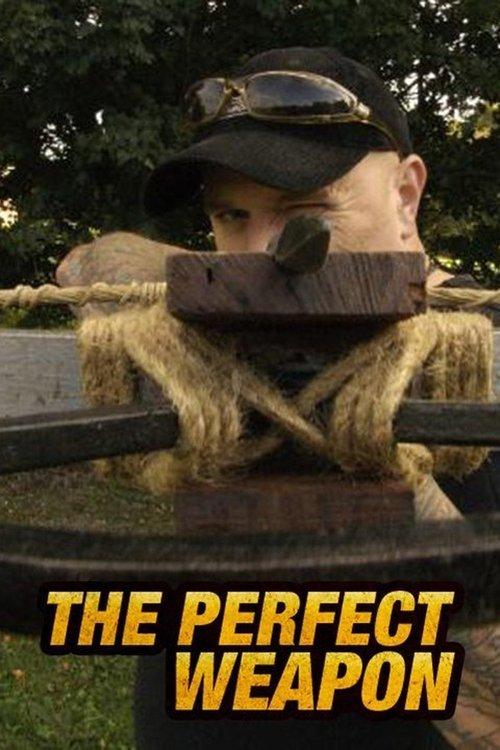 Perfect Weapon dizi afişi