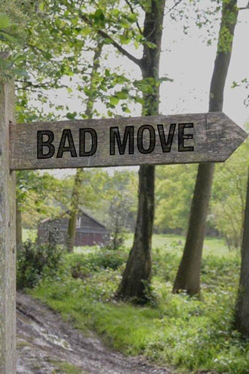 Bad Move dizi afişi