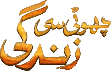 Choti Si Zindagi logo