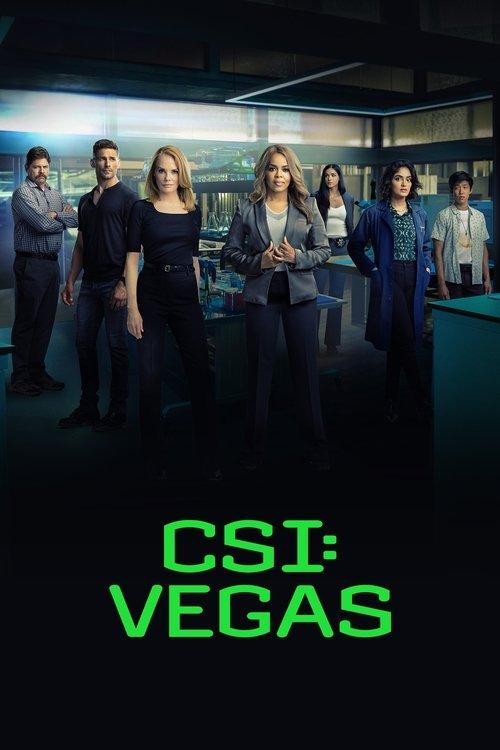 CSI: Vegas Sezon 2