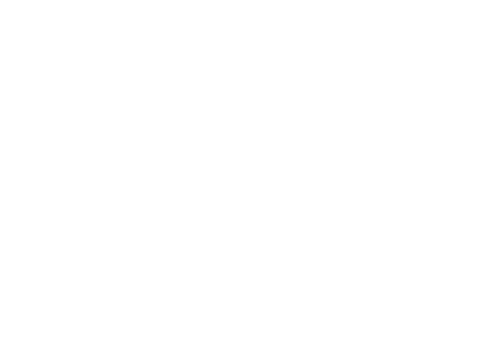 Simple Minds: Everything Is Possible logo