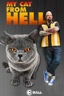My Cat from Hell Sezon 4