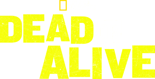 Dead or Alive logo