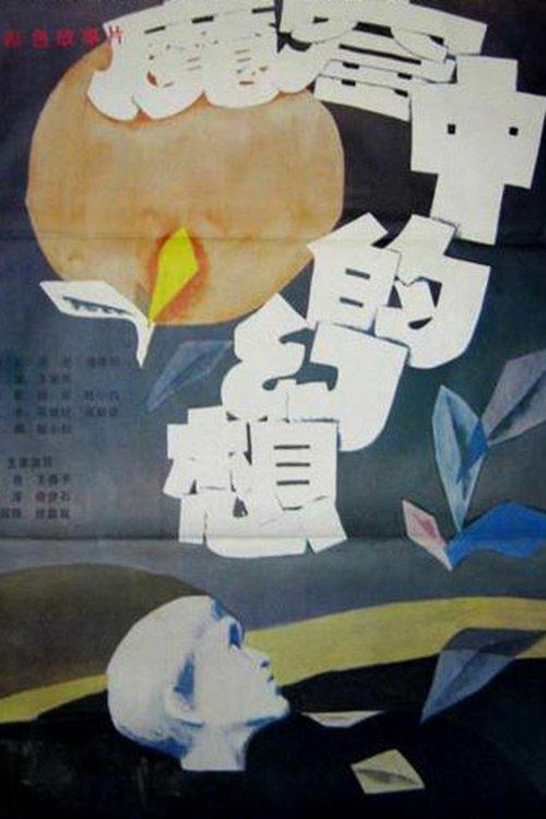 Visions from a Jail Cell film afişi