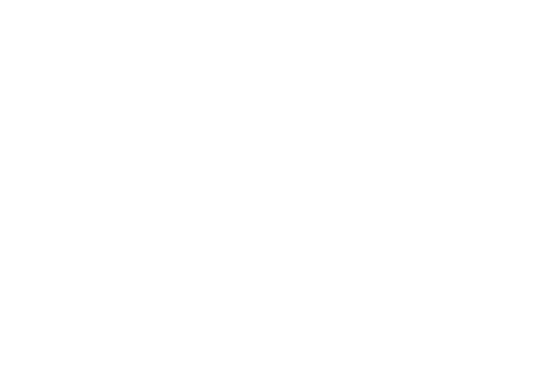 The Miracle Worker logo