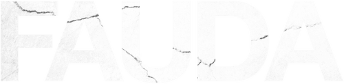 Fauda logo