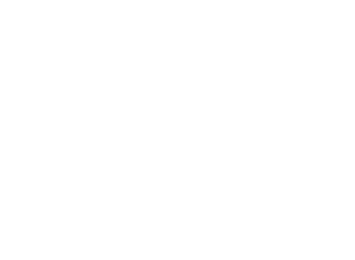The Beautiful Lie logo