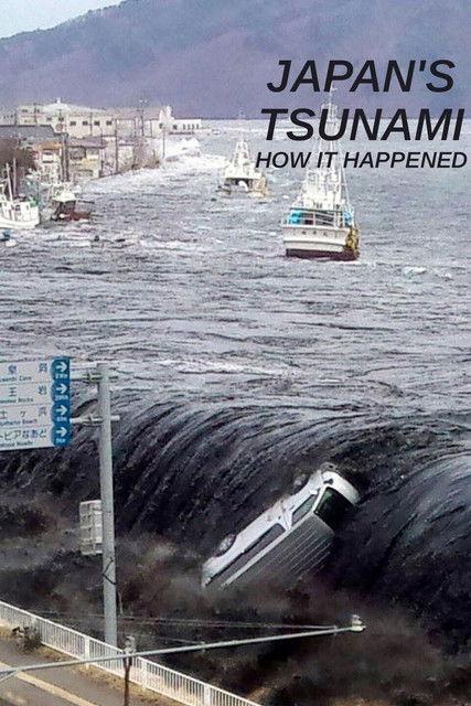 Japan's Tsunami: How It Happened film afişi