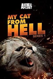 My Cat from Hell Sezon 1