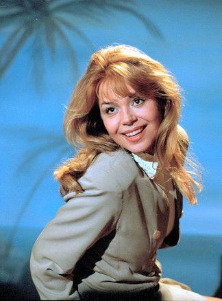 Sins for Detective Show Viewers dizi afişi