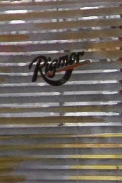 På rigmor dizi afişi