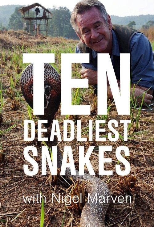 Ten Deadliest Snakes with Nigel Marven dizi afişi