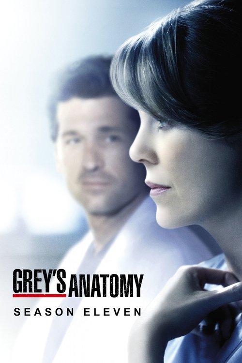 Grey's Anatomy Sezon 11