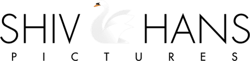Shivhans Pictures logo