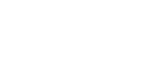 Battle of the Year logo