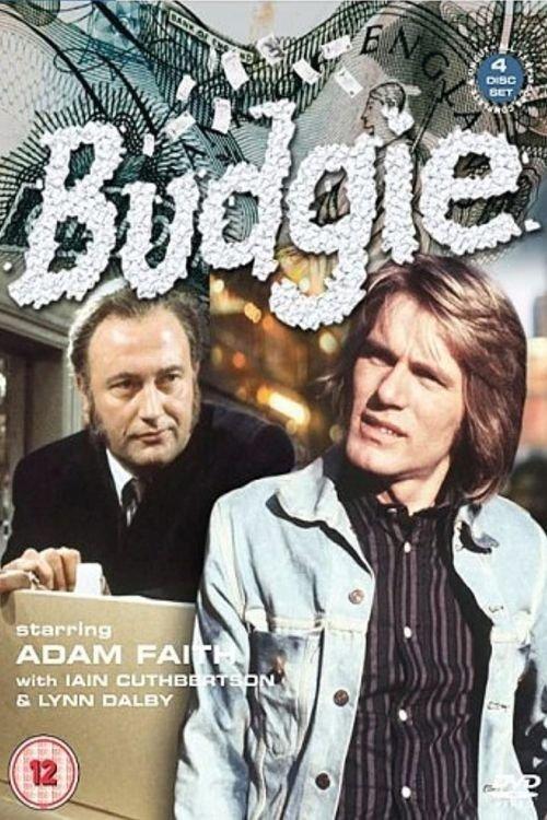 Budgie dizi afişi