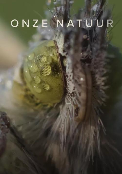 Our Nature dizi afişi