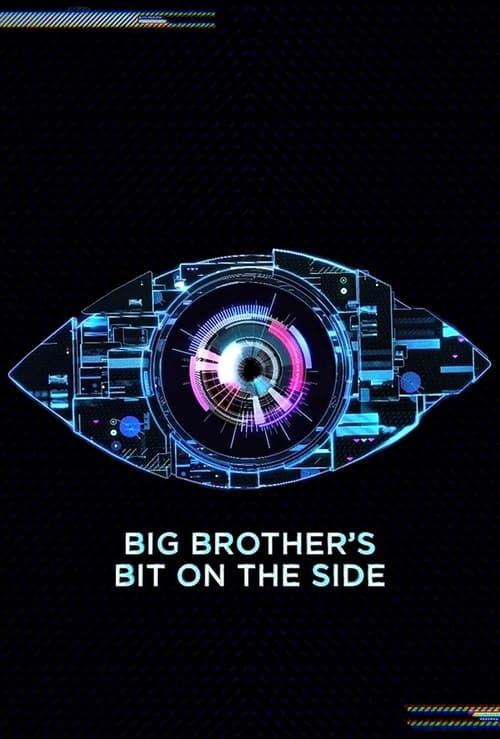 Big Brother's Bit on the Side dizi afişi