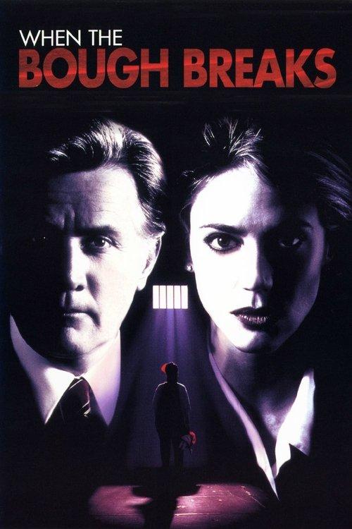 When the Bough Breaks film afişi