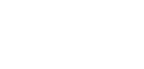 All In with Chris Hayes logo