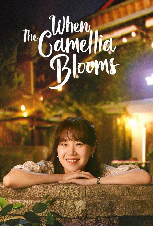 When the Camellia Blooms dizi afişi