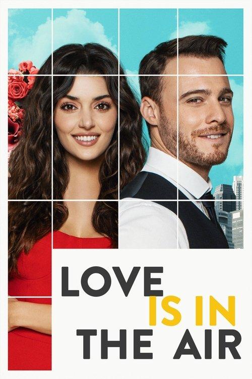 Love Is in the Air dizi afişi