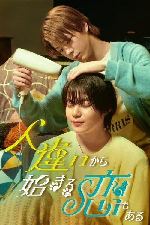 Some Love Begins with Mistaken Identity dizi afişi