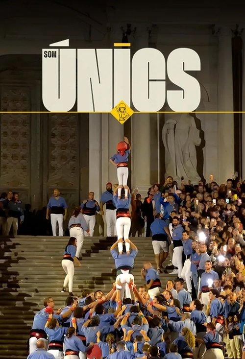 Som únics dizi afişi