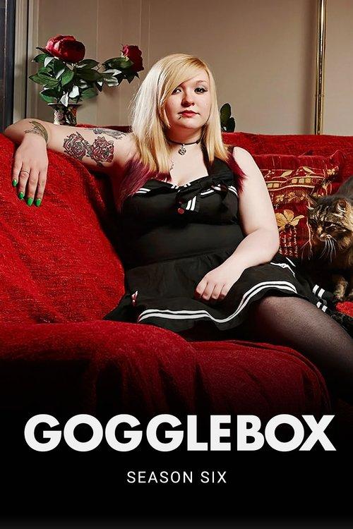 Gogglebox Sezon 6