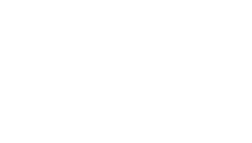 Big Brother logo
